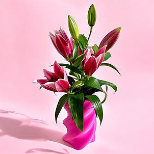Pink Stories Vase